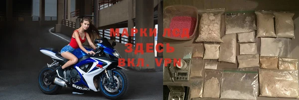эйфоретик Бикин