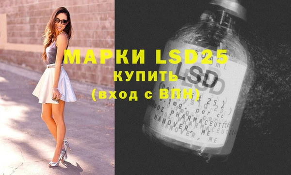 ГАЛЛЮЦИНОГЕННЫЕ ГРИБЫ Наволоки