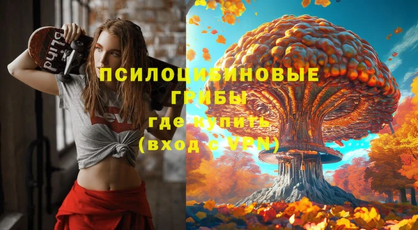 ГАЛЛЮЦИНОГЕННЫЕ ГРИБЫ Наволоки