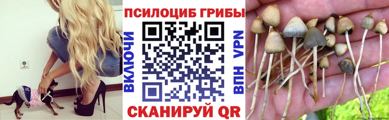 Галлюциногенные грибы Cubensis  МЕГА сайт  Ухта 