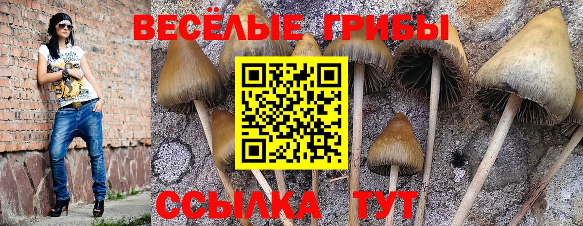 Галлюциногенные грибы мицелий  как найти наркотики  Ухта  Вход с VPN 